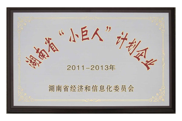 小巨人